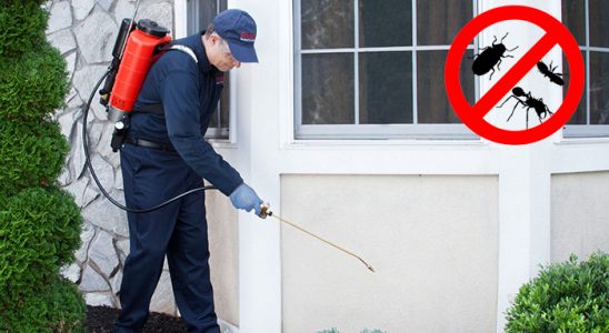 Gelendost Böcek İlaçlama böcek ilaçlama ve haşere kontrolü — ilaclama-tr.com